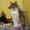 Отзыв от Яна Сергеева